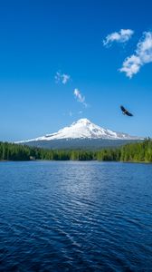 Preview wallpaper mountain, lake, bird, sky, horizon