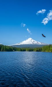 Preview wallpaper mountain, lake, bird, sky, horizon