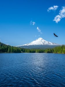 Preview wallpaper mountain, lake, bird, sky, horizon