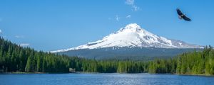 Preview wallpaper mountain, lake, bird, sky, horizon