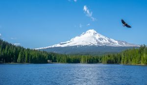 Preview wallpaper mountain, lake, bird, sky, horizon