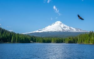 Preview wallpaper mountain, lake, bird, sky, horizon