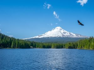 Preview wallpaper mountain, lake, bird, sky, horizon