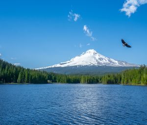 Preview wallpaper mountain, lake, bird, sky, horizon