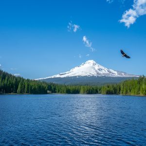 Preview wallpaper mountain, lake, bird, sky, horizon