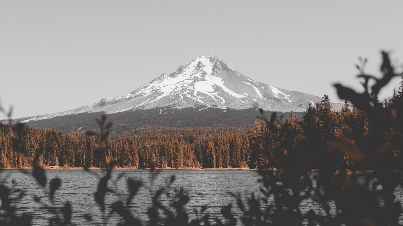 Wallpaper mountain, lake, branches, sky, peak, snowy