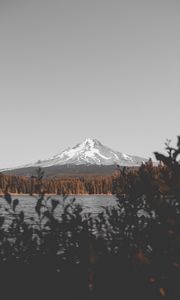 Preview wallpaper mountain, lake, branches, sky, peak, snowy
