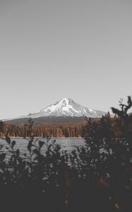 Preview wallpaper mountain, lake, branches, sky, peak, snowy