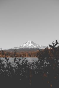 Preview wallpaper mountain, lake, branches, sky, peak, snowy