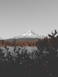 Preview wallpaper mountain, lake, branches, sky, peak, snowy