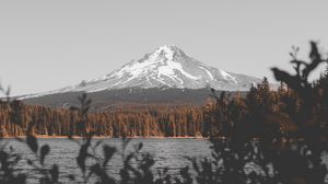 Preview wallpaper mountain, lake, branches, sky, peak, snowy