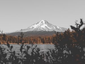 Preview wallpaper mountain, lake, branches, sky, peak, snowy