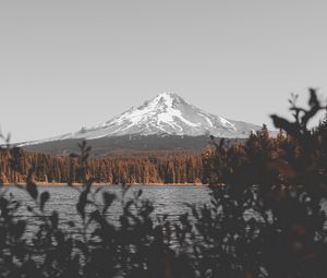 Preview wallpaper mountain, lake, branches, sky, peak, snowy