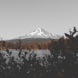 Preview wallpaper mountain, lake, branches, sky, peak, snowy