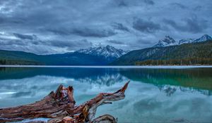 Preview wallpaper mountain, lake, landscape, reflection, log