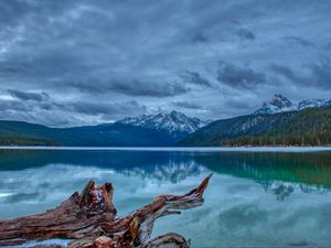 Preview wallpaper mountain, lake, landscape, reflection, log