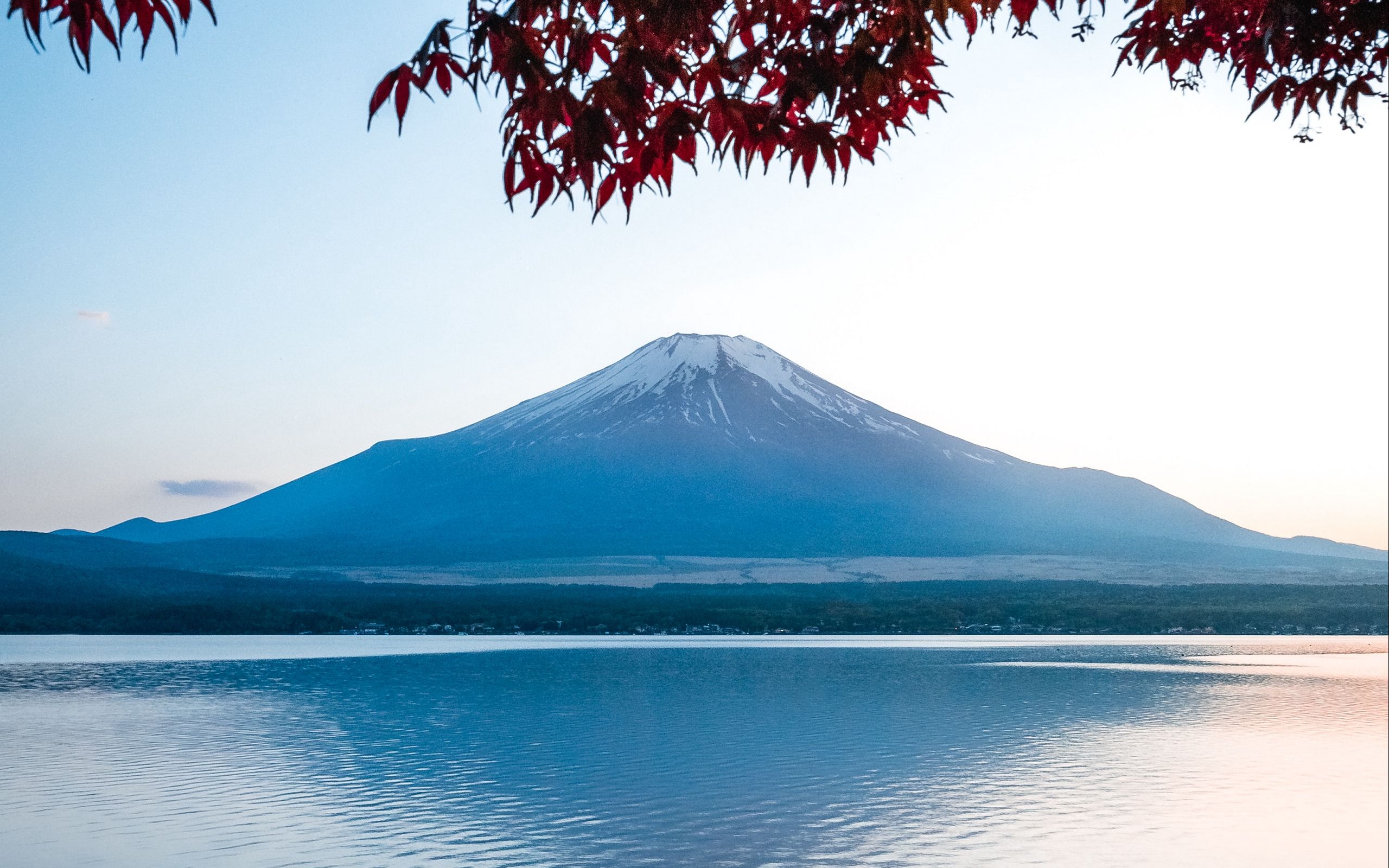 Download wallpaper 2560x1600 mountain, lake, landscape, fuji, japan ...