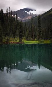 Preview wallpaper mountain, lake, spruce, reflection, forest