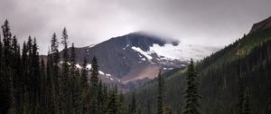 Preview wallpaper mountain, lake, spruce, reflection, forest