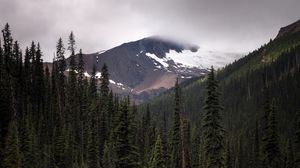 Preview wallpaper mountain, lake, spruce, reflection, forest