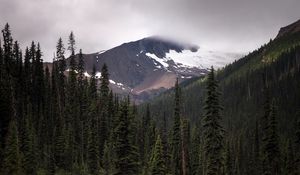 Preview wallpaper mountain, lake, spruce, reflection, forest