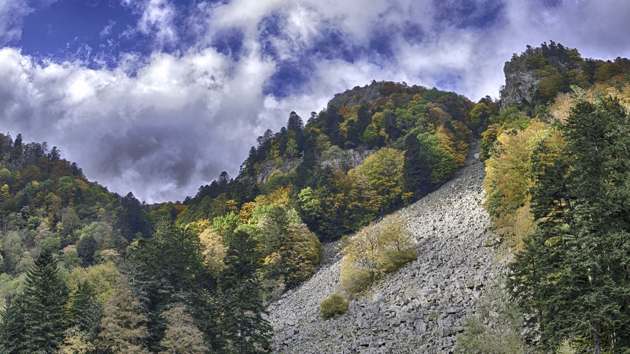 Wallpaper mountain, lake, trees, reflection, landscape