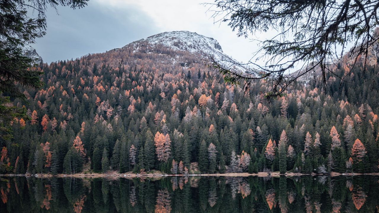 Wallpaper mountain, lake, trees, water, reflection