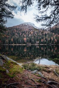 Preview wallpaper mountain, lake, trees, water, reflection