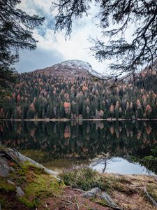 Preview wallpaper mountain, lake, trees, water, reflection