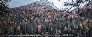 Preview wallpaper mountain, lake, trees, water, reflection
