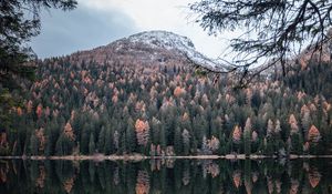 Preview wallpaper mountain, lake, trees, water, reflection