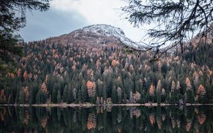 Preview wallpaper mountain, lake, trees, water, reflection
