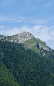 Preview wallpaper mountain, landform, trees, forest, landscape, nature