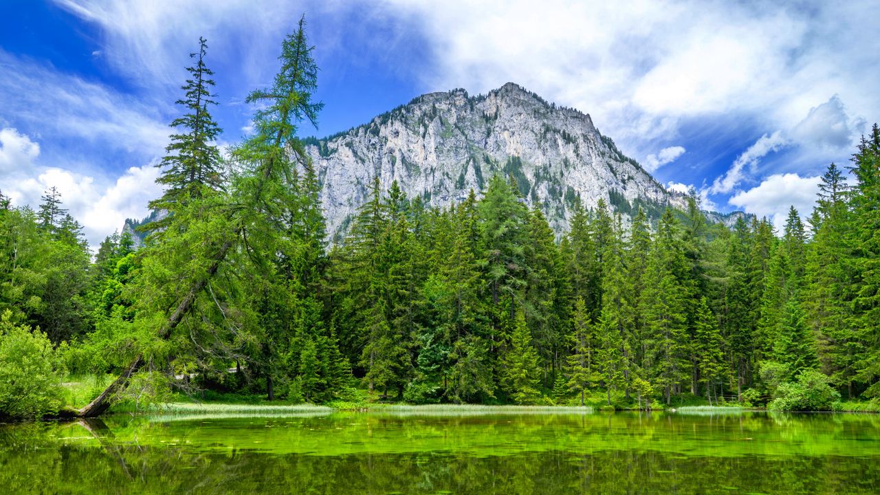 Wallpaper mountain, landscape, trees, pond, nature