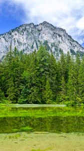 Preview wallpaper mountain, landscape, trees, pond, nature