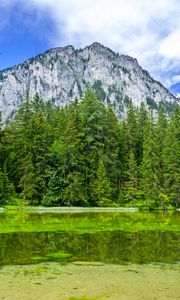 Preview wallpaper mountain, landscape, trees, pond, nature