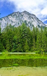 Preview wallpaper mountain, landscape, trees, pond, nature