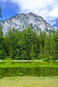 Preview wallpaper mountain, landscape, trees, pond, nature