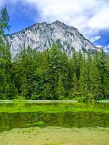 Preview wallpaper mountain, landscape, trees, pond, nature