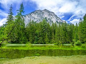 Preview wallpaper mountain, landscape, trees, pond, nature