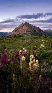 Preview wallpaper mountain, lawn, flowers, grass, landscape