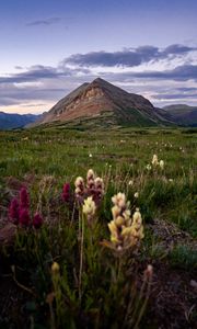 Preview wallpaper mountain, lawn, flowers, grass, landscape