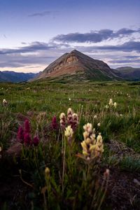 Preview wallpaper mountain, lawn, flowers, grass, landscape