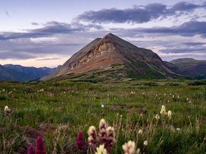 Preview wallpaper mountain, lawn, flowers, grass, landscape