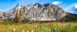 Preview wallpaper mountain, lawn, grass, flowers, landscape, summer