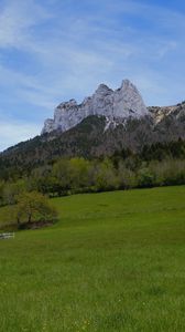 Preview wallpaper mountain, meadow, trees, greenery, landscape