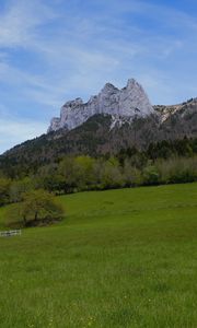 Preview wallpaper mountain, meadow, trees, greenery, landscape