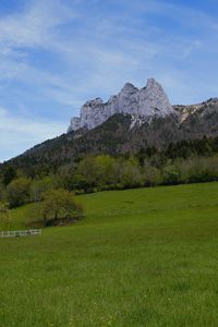 Preview wallpaper mountain, meadow, trees, greenery, landscape