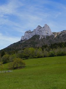 Preview wallpaper mountain, meadow, trees, greenery, landscape