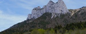 Preview wallpaper mountain, meadow, trees, greenery, landscape